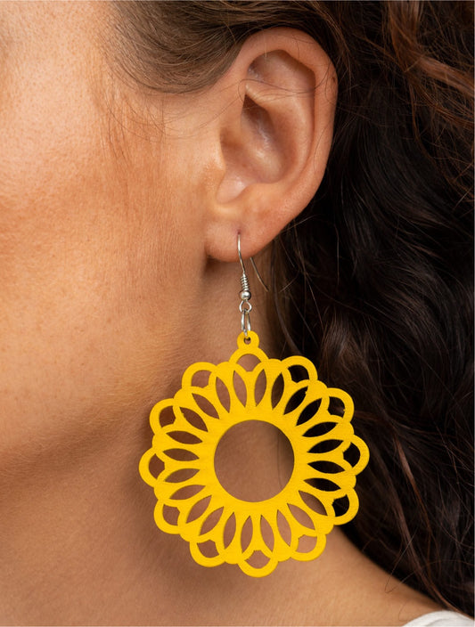 Dominican Daisy (yellow)