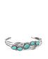 Cottage living (turquoise)